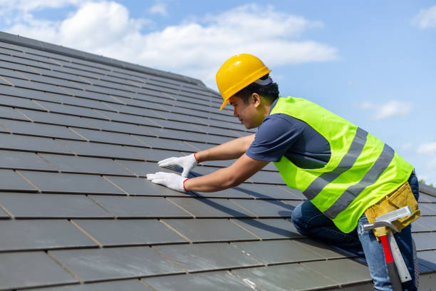 Best Roof Maintenance Services  in Negaunee, MI