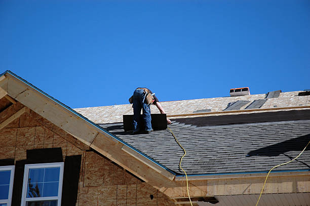 Best Roof Gutter Cleaning  in Negaunee, MI